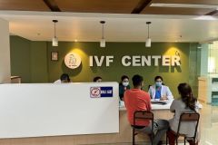 IVF-1