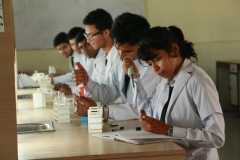 Lab (1)