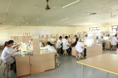 Lab (2)