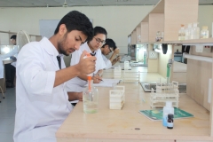 Lab (3)